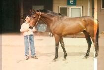 ���ο� (SIN IN WANG) ����