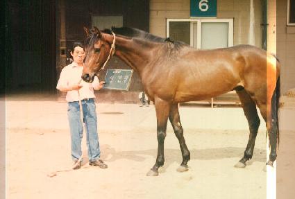 ���ο� ����