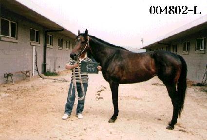 ��Ź� ����