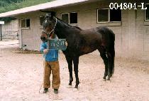 ����� (DAE WOON HA) ����