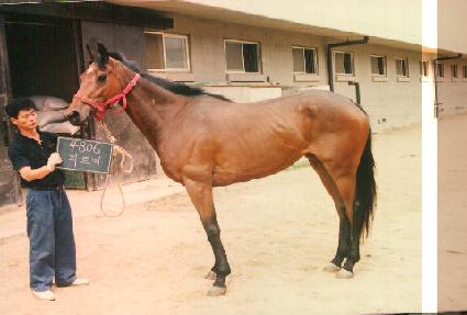 ��Ʈ�� ����