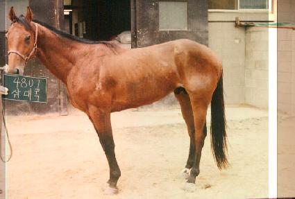 ���� ����