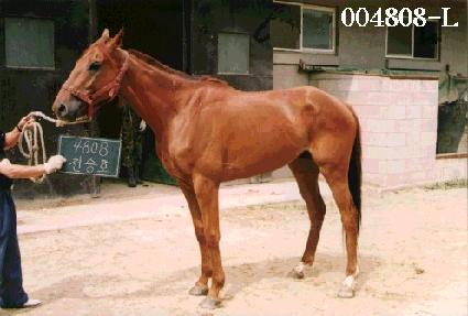 õ��ȣ ����