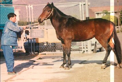 �ֿ����� ����