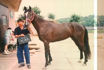 �»�� (TAE SA BU) ����