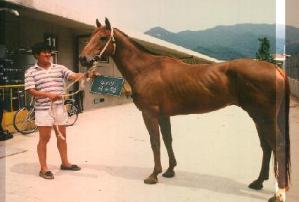 �̵��� ����