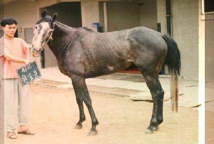 ��ȿ�� ����