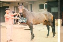 ���ϸ��� (JAE IL MYOUNG SAN) ����