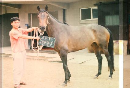 ���ϸ��� ����