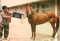 ������ (SA HYEUN JEUNG) ����