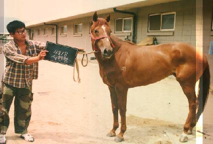 ������ ����