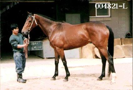 �ǹ���Ÿ ����