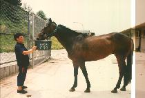 ������ (GWANG DEOK SAN) ����