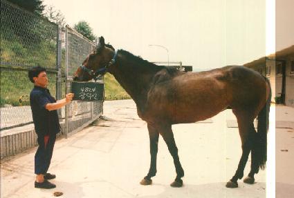 ������ ����