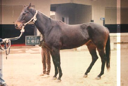 �ǹ���Ŭ ����