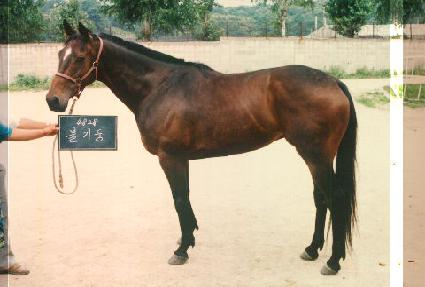 �ұ�� ����