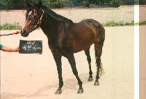 ���۾ƾ� (YE PEUN A SSI) ����