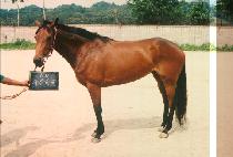 Ǫ���ϴ� (PRUNE HA NEUL) ����