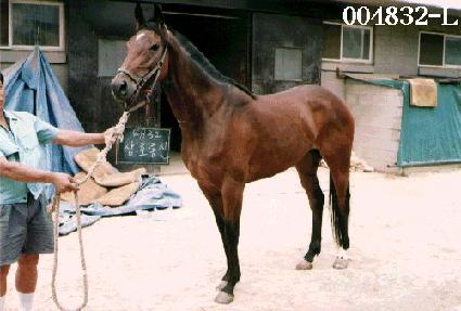 ��ȣ��� ����