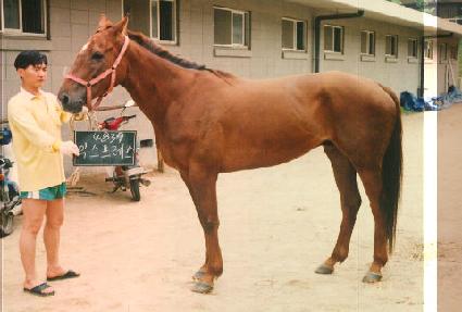 �ͽ������� ����