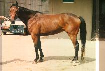 �������� (BEUN GAE DO LI) ����