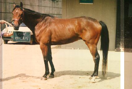 �������� ����