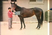 ������ (YU RANG JA) ����