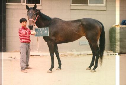 ������ ����