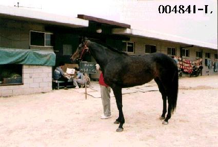 ����潺�ǵ� ����