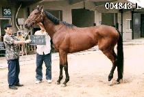 ����í�� (BAY CHIME) ����