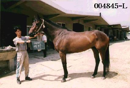 �ɺ� ����