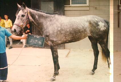 �ڸ��� ����