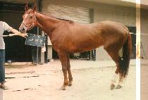 ���ൿ (DAE HAENG DONG) ����