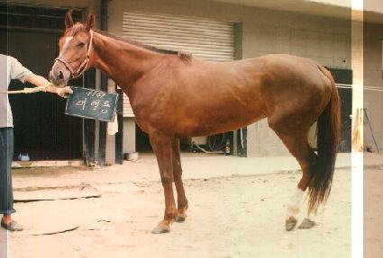 ���ൿ ����