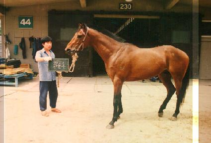 ������ ����