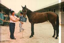 �¹� (SEUNG MU) ����