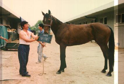 �¹� ����