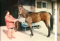 ������ (SEONG CHUI JA) ����