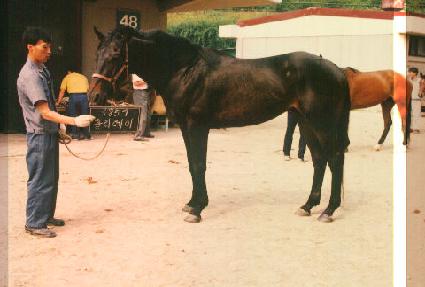 Ȧ������ ����