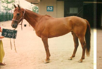 ���ٶ�� ����