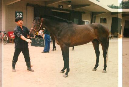 ������ ����