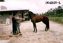 ������ (HAK JEUN BONG) ����