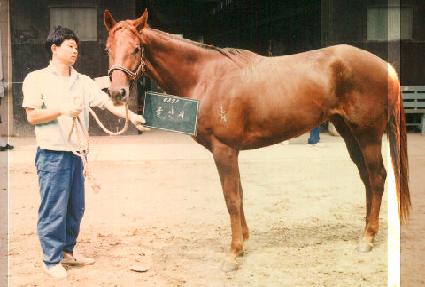 ���Ȱ� ����