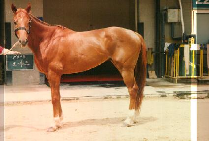 ���� ����