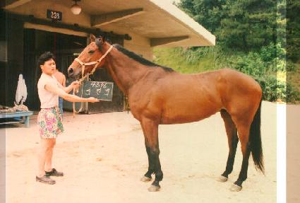 ������ ����