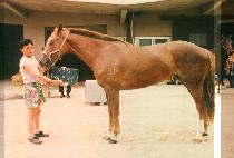 ���κ��� (RAINBOW) ����