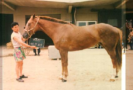 ���κ��� ����