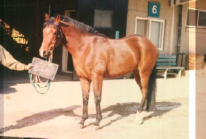 ���λ� ����