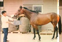 ������ (I JUNG JOO) ����