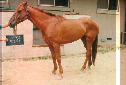 �Ƹ��� ����